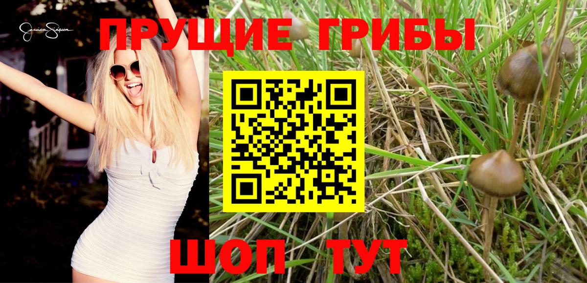 Псилоцибиновые грибы MAGIC MUSHROOMS  Вход с VPN  Дагестанские Огни 