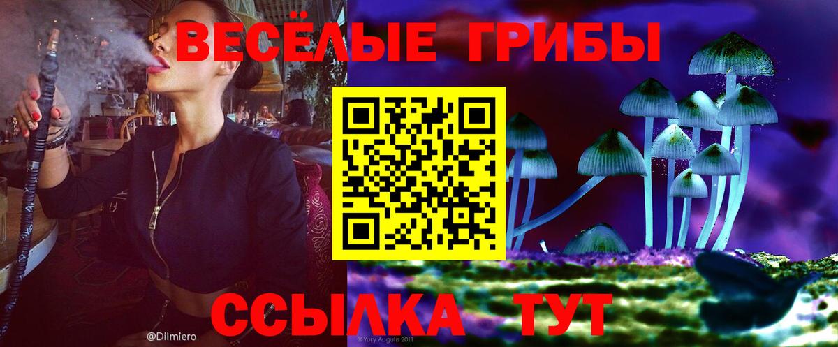 Галлюциногенные грибы ЛСД Дагестанские Огни